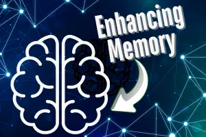 7 Types of Memory Explained (With 2025 Research Updates & Hacks to Supercharge Yours)—Beat Brain Fog in the AI Era