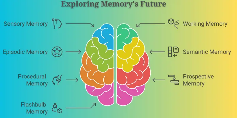 Exploring Memory Types Brain Infographic Colorful brain illustration labeled with seven types of memory—sensory, working, episodic, semantic, procedural, prospective, and flashbulb—showing how different memory types connect to brain regions.