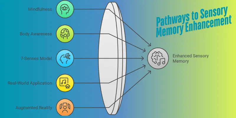 Pathways To Sensory Memory Enhancement Infographic Infographic illustrating five pathways to sensory memory enhancement: mindfulness, body awareness, 7-senses model, real-world application, and augmented reality, all converging toward enhanced sensory memory.